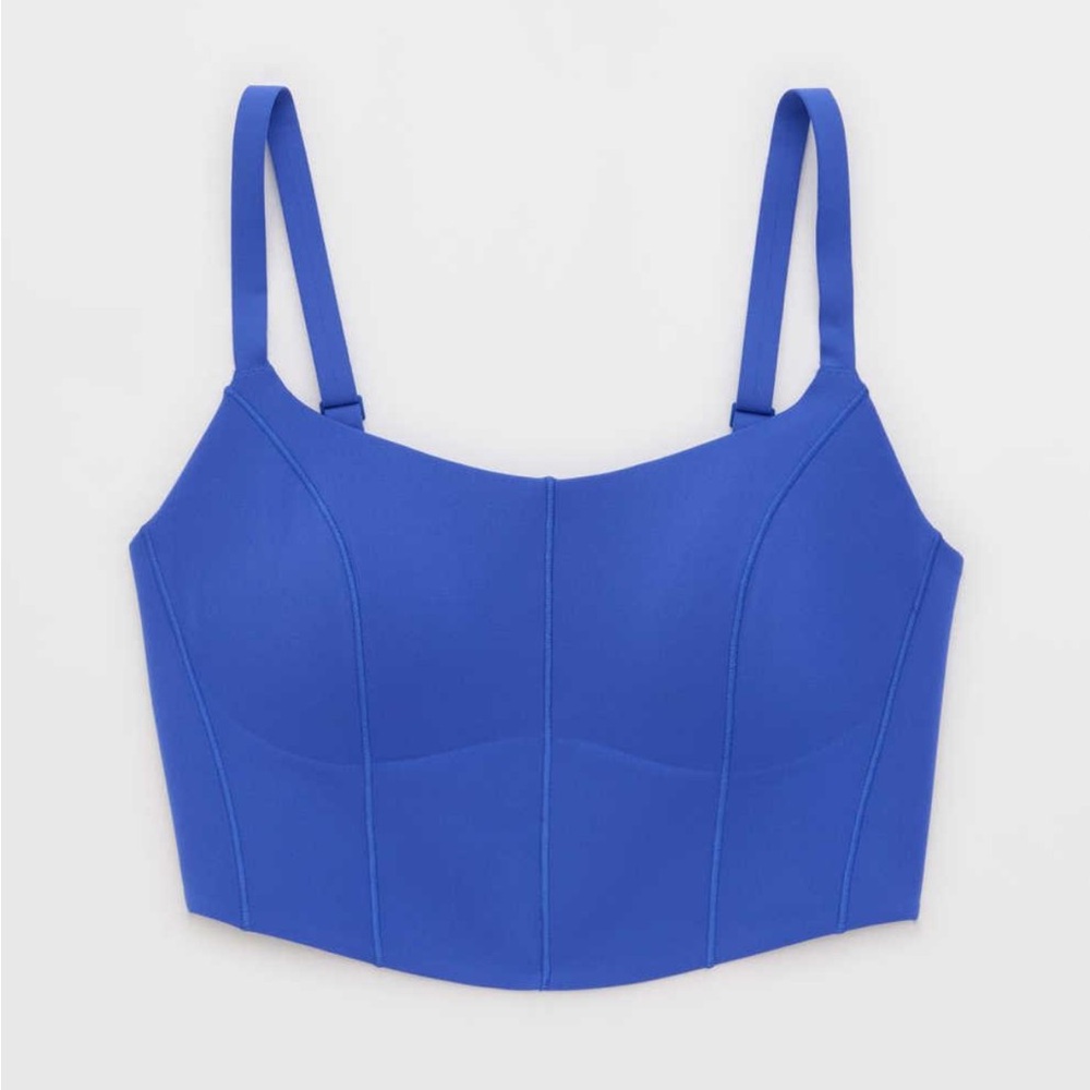 NWT Blue Corset Top